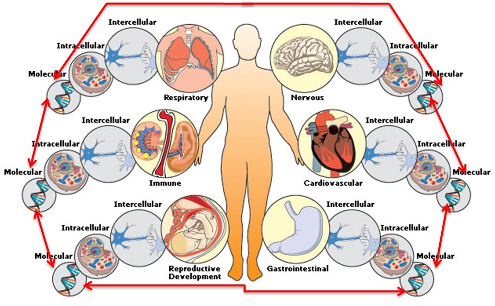 pain management, hypertension, stress,anxie,pain-management,stress,anxiety,,neurological-disorders,constipation-treatment,hypertension,Basti,Panchakarma,shree-vishvatej,shree-vishvatej-ayurvediy-yoga-chikitsalaya,basti-karma-in-ghatkopar,panchkarma-treatment-in-ghatkopar,herbal-treatment,herbal-treatment-in-ghatkopar,the-best-ayurvedic-doctor-in-ghatkopar,the-best-panchakarma-clinic-in-ghatkopar,ghatkopar,vasti-karma,basti,